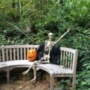 Halloween trail